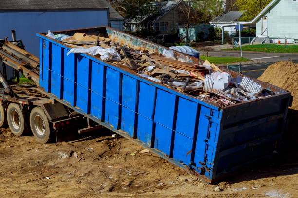 Best Dumpster Rental Services  in Romulus, MI